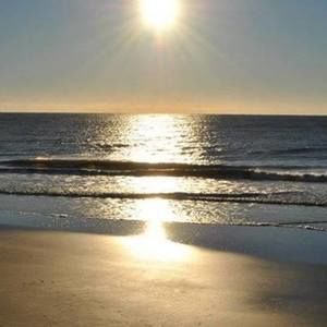 Meet your Posher, Rhonda